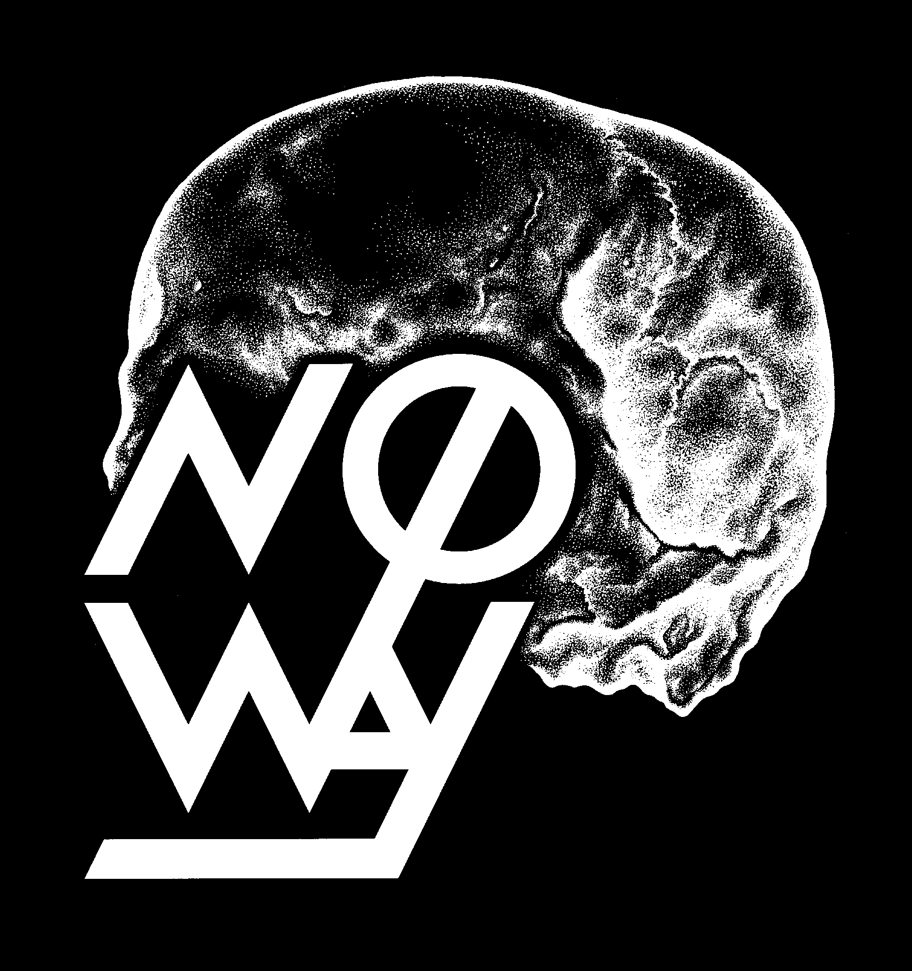 NOWAY SKULL